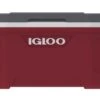 IGLOO Latitude 52QT Cool Box Red 1 IGLOO Latitude 52QT Cool Box Red -Decathlon k0f2e951baeacf3928ea847c824c4b8f0