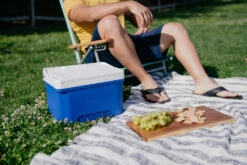 IGLOO Laguna 9 Cool Box Red -Decathlon k1f3a131b236b6d90b2f3f9757c82df88