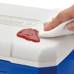 Coleman Performance 5QT Personal Cooler -Decathlon k46f35c6c2c6dd2c6e9c46849a7f097f7