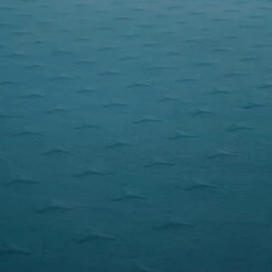 Quechua SELF -Decathlon k4e1c643e95548c42927b293f6d37b7a1