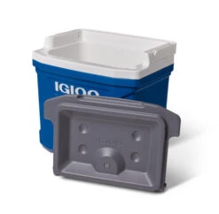 IGLOO Latitude 16QT Cool Box Red 20 IGLOO Latitude 16QT Cool Box Red -Decathlon k8758dde4024ff653f38cae12c0daa65b
