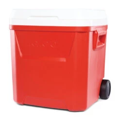 IGLOO Laguna 57L Wheeled Cool Box 17 IGLOO Laguna 57L Wheeled Cool Box -Decathlon k8ec75d56ecfa4175e346ea5ba74cde76
