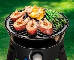 Cadac BBQ Grid 30 -Decathlon k99ed97a2ecfce9685eca27d9856eb126