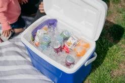 IGLOO Laguna 28QT Cool Box Red -Decathlon kb309529a331bee3c9613a50999a7df51